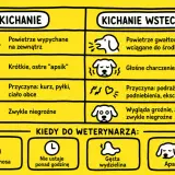 Kichanie u psa: normalne vs. wsteczne. Opis objawów, przyczyn i kiedy wizyta u weterynarza jest konieczna.