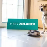 Pies siedzi obok pustej miski, a obok niego stoi tabliczka "PUSTY ŻOŁĄDEK".