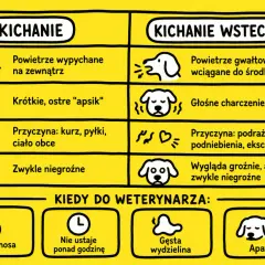 Kichanie u psa: normalne vs. wsteczne. Opis objawów, przyczyn i kiedy wizyta u weterynarza jest konieczna.