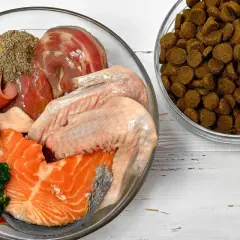 Miski z karmą suchą i domowym jedzeniem dla psa: mięso, ryba, jajka, brokuły. Dowiedz się, jak karmić psa domowym jedzeniem.