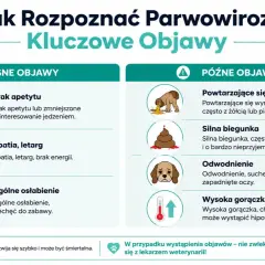 Objawy parwowirozy u szczeniaka: brak apetytu, apatia, wymioty, biegunka, odwodnienie, gorączka. Szybka reakcja jest kluczowa.