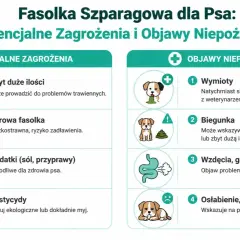 Czy pies może jeść fasolkę szparagową? Infografika ostrzega przed zagrożeniami: zbyt duża ilość, surowa fasolka, dodatki, pestycydy. Objawy niepożądane: wymioty, biegunka, gazy, osłabienie.