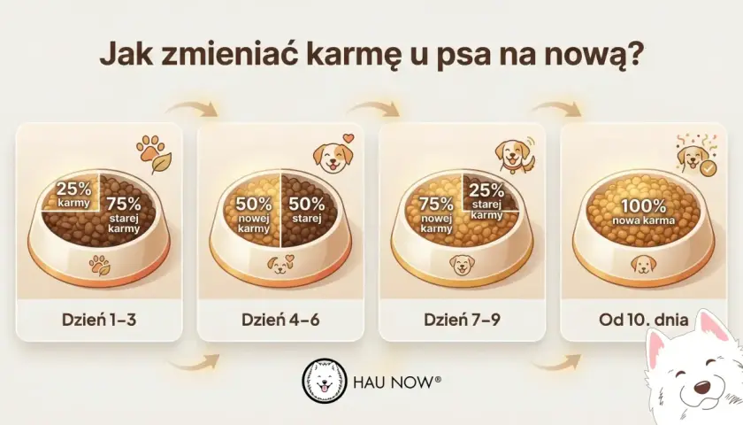 Grafika pokazuje etapy zmiany karmy u psa: od 25% nowej karmy przez 50/50 do 100% nowej karmy.
