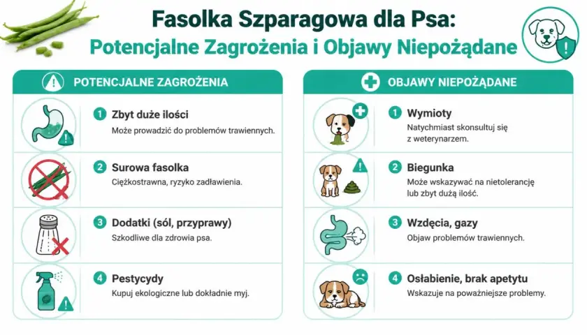 Czy pies może jeść fasolkę szparagową? Infografika ostrzega przed zagrożeniami: zbyt duża ilość, surowa fasolka, dodatki, pestycydy. Objawy niepożądane: wymioty, biegunka, gazy, osłabienie.