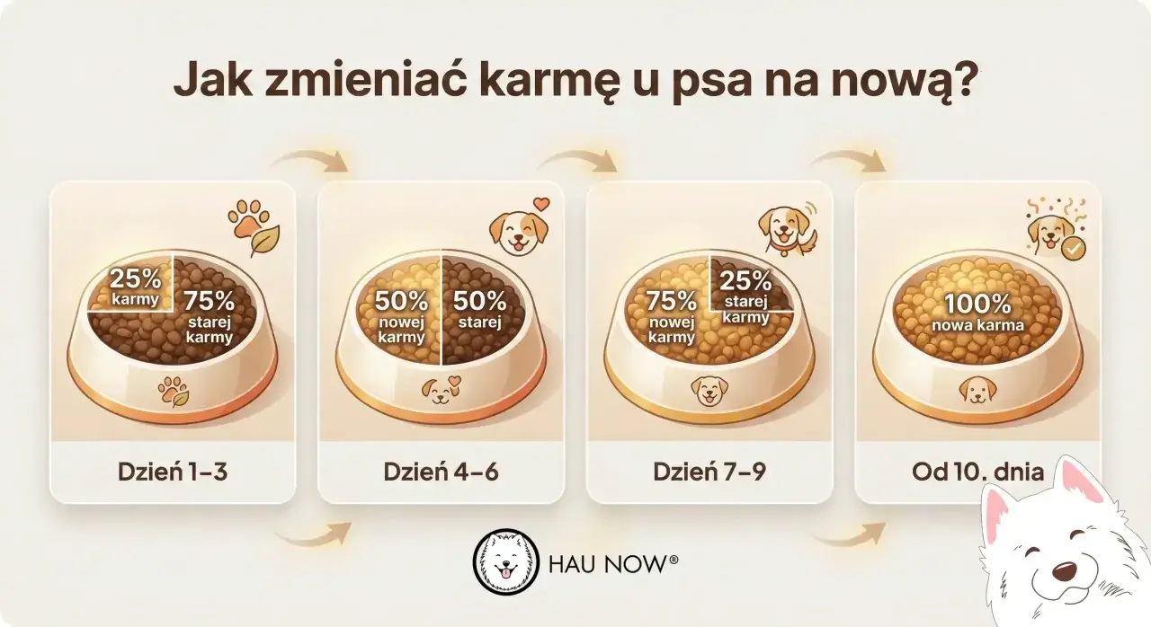 Grafika pokazuje etapy zmiany karmy u psa: od 25% nowej karmy przez 50/50 do 100% nowej karmy.