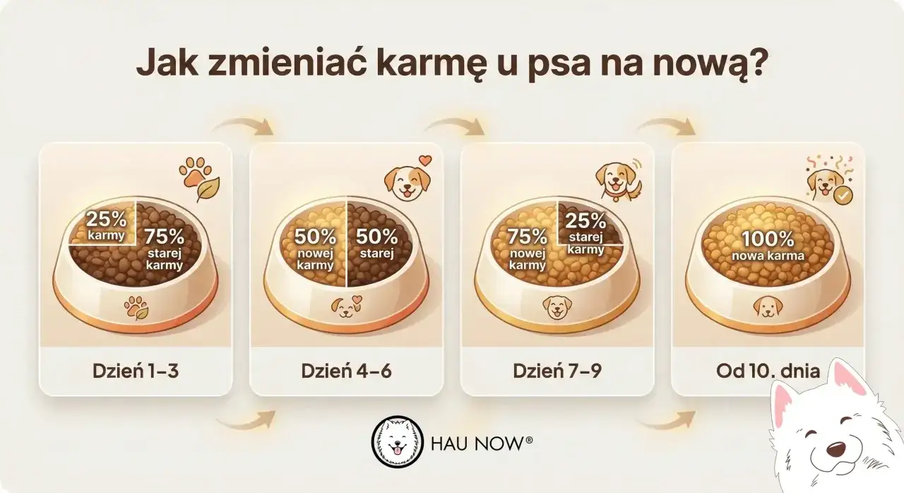 Grafika pokazuje stopniową zmianę karmy u psa: 25% nowej karmy przez 3 dni, potem 50/50, następnie 75% nowej karmy i wreszcie 100% nowej karmy.