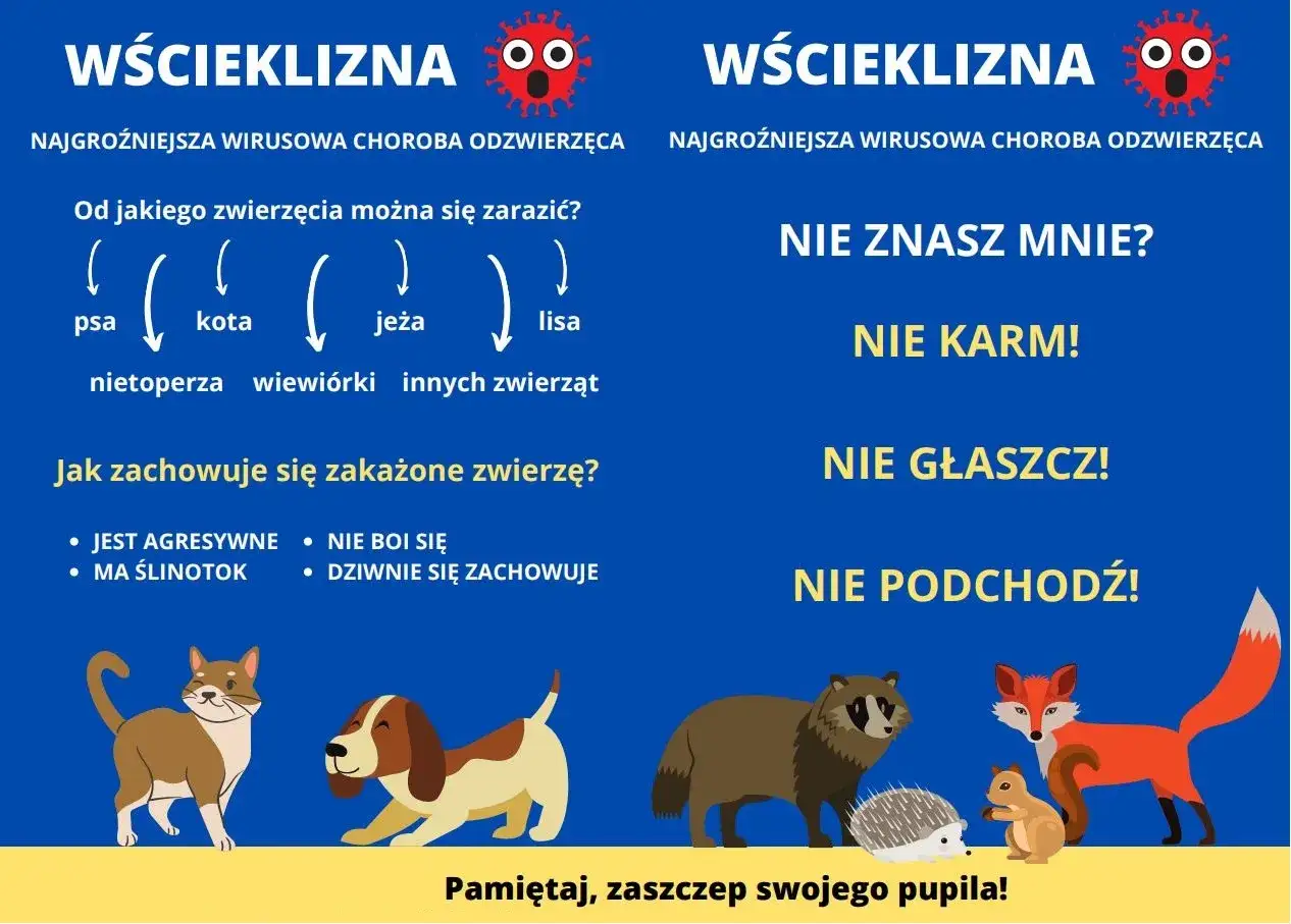 Jak pies może zarazić się wścieklizną? Wścieklizną można zarazić się od dzikich zwierząt, np. lisa, jeża, wiewi&oacute;rki. Nie zbliżaj się do nieznanych zwierząt.